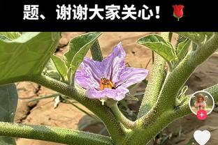 ?三足鼎立！身价榜：贝林厄姆、哈兰德、姆巴佩均1.8亿欧！